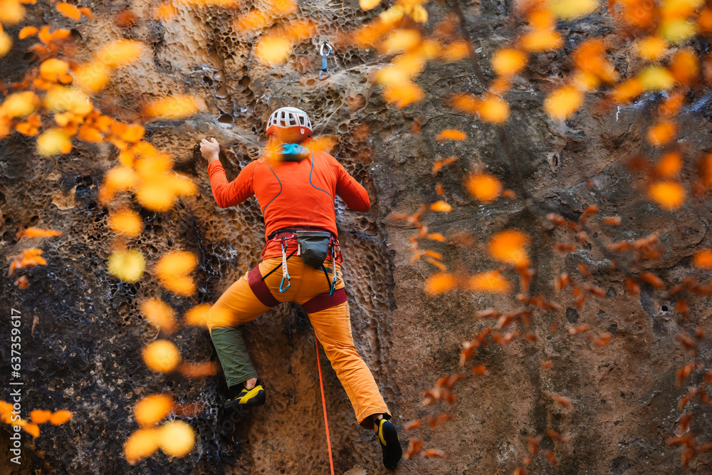 Young rock climber climbs the ropes on a stone cliff, yellow autumn leaves in the foreground. Young rock climber climbs the ropes on a stone cliff, yellow autumn leaves in the foreground.