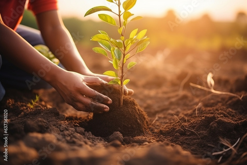 Family Planting Trees as a Symbol of Growth and Renewal, love and happiness 
