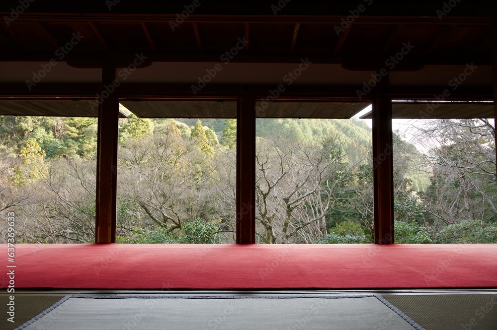 Fototapeta premium view from the temple