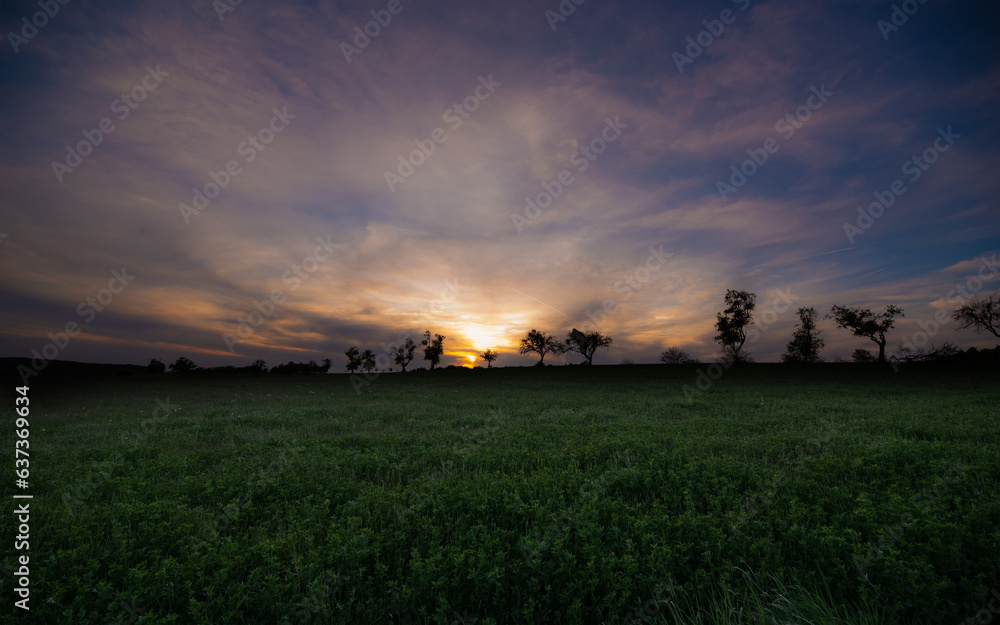 Fototapeta premium Sonnenuntergang am Feld