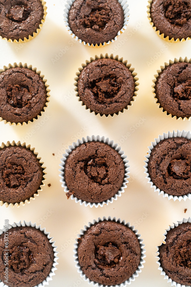 S'mores cupcakes S'mores cupcakes