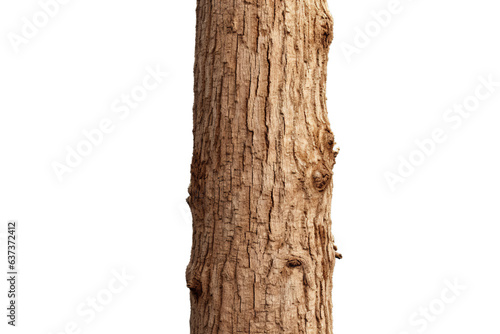 Wooden strain isolated on transparent background