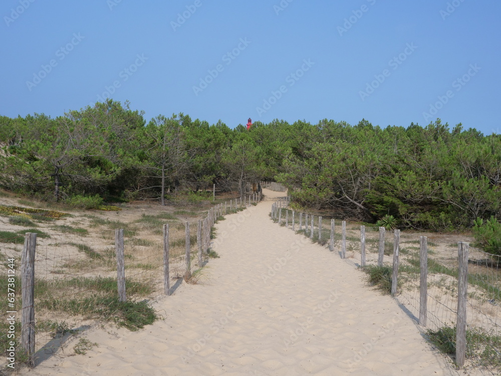 A small sand path goes through the sand dunes. June 2023, Cap Ferret, France.