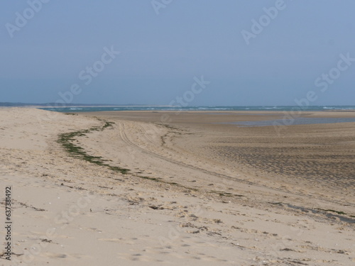 A view of the Dunes beach in summer. June 2023  Cap Ferret  France.