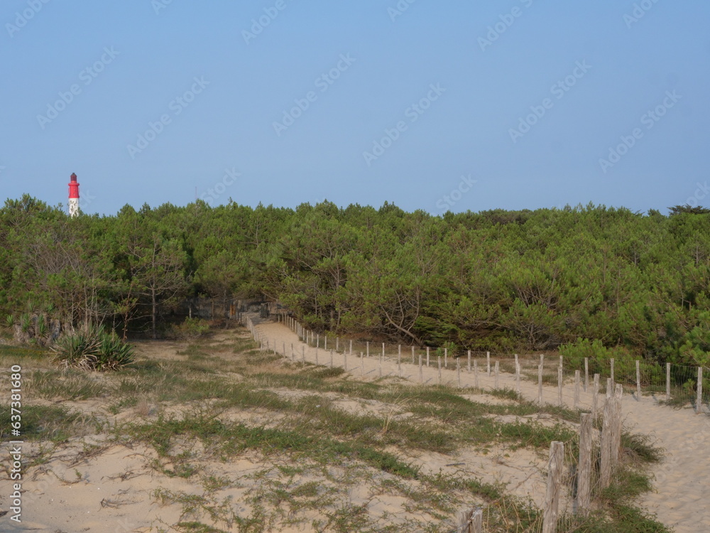 A small sand path goes through the sand dunes with the lighthouse in the background. June 2023, Cap Ferret, France.