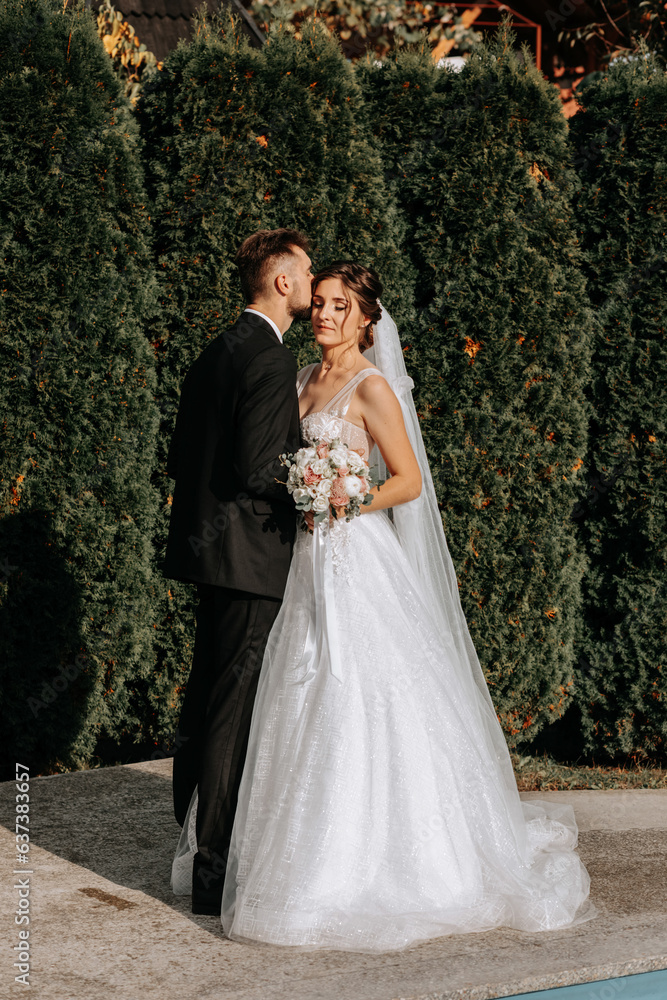beautiful elegant luxury bride and stylish groom kissing outdoors near tall green trees