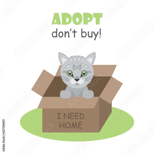 Pets adoption vector illustration. Cat in a box on isolated background. Homeless animals conceptsign concept.