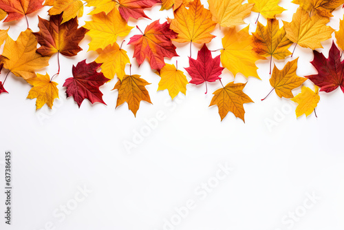 autumn leaves on a white background  copy space 