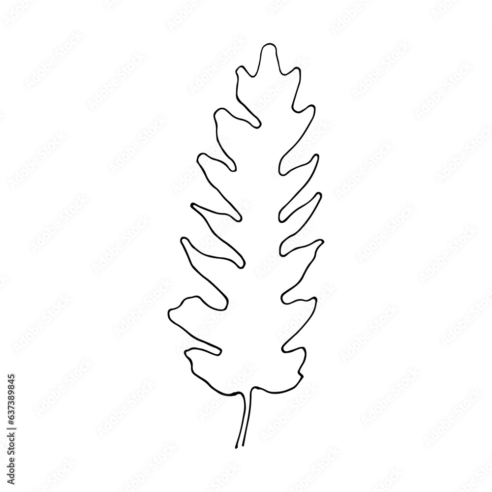 tropical leaf hand drawn