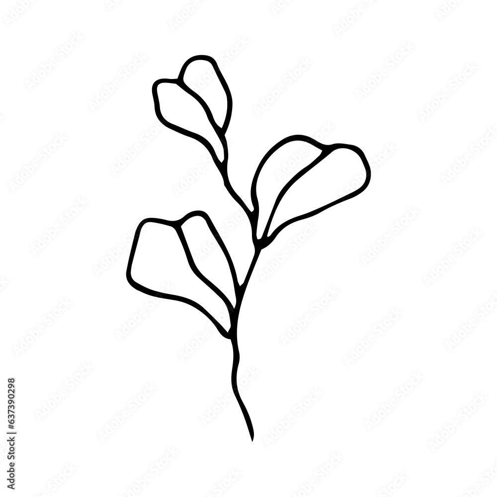 illustration of leaf hand drawn illustration of leaf hand drawn