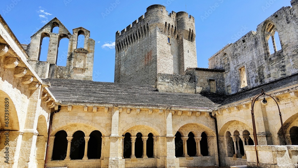 ABBAYE DE MONTMAJOUR (Arles - Bouches du Rhône)
