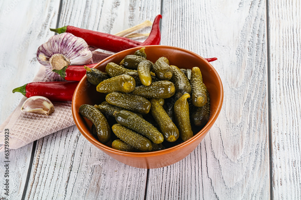 Marinated small cucumbers in the bowl Marinated small cucumbers in the bowl