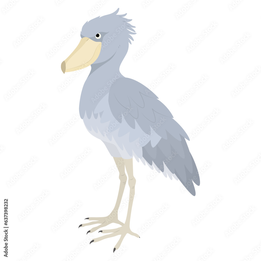 Obraz premium ハシビロコウのイラスト