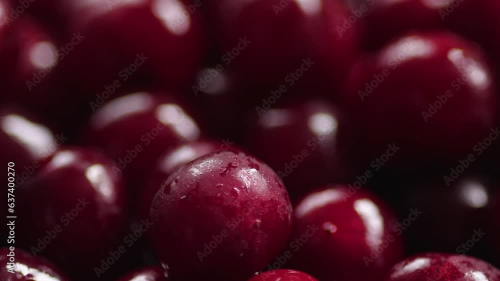 close-up ripe cherries on a plate rotate. selective focus. cherry juice production. cherry macro close-up ripe cherries on a plate rotate. selective focus. cherry juice production. cherry macro