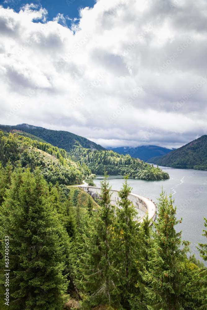 Fototapeta premium beautiful lake surrounded by green fir trees