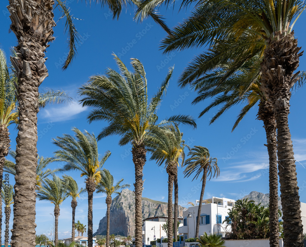 Palm trees on San Vito lo Capo beach against blue sky.