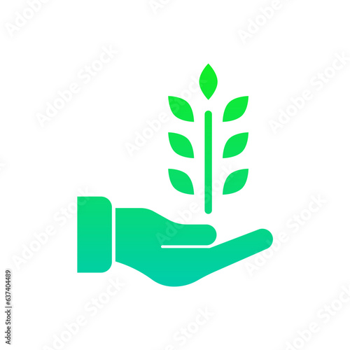 Holding Wheat