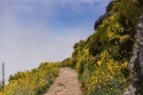 Travelling and exploring Madeira island landscapes and famous places. Summer tourism by Atlantic  ocean and mountains. Outdoor views on beautiful water, sky, cliffs, coastline and travel destination.