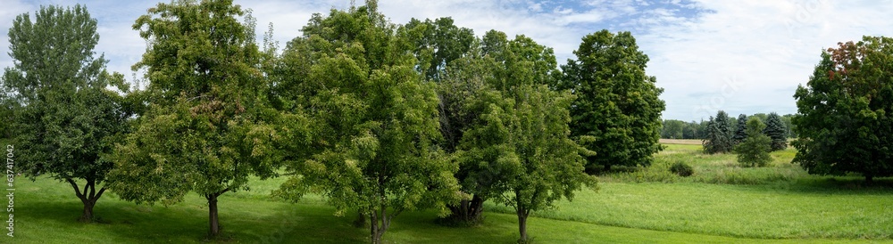 Panoramic view of a summer landscape in South Hero, Vermont Panoramic view of a summer landscape in South Hero, Vermont