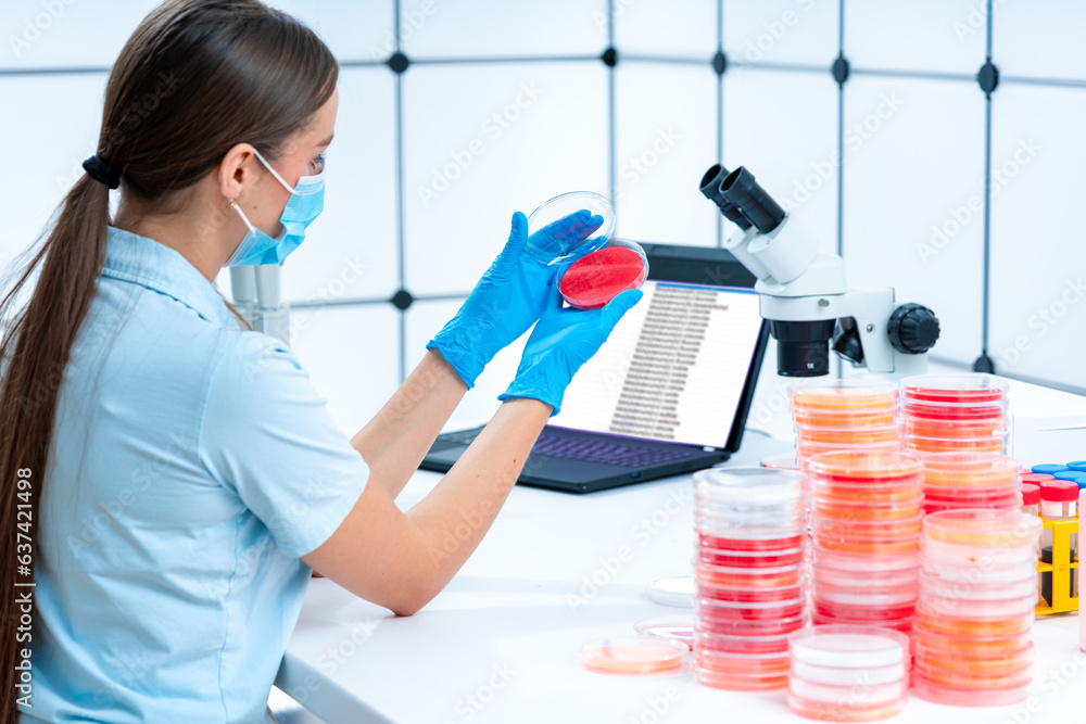 Foto de Viral plaque assays Petri dishes are commonly used in viral