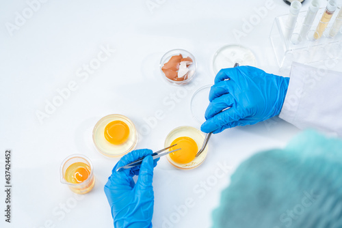 laboratory of chicken egg in agriculture manufacturing industry or food quality control research  expert inspection working to science analysis test in medicine biology safety  biotechnology concept