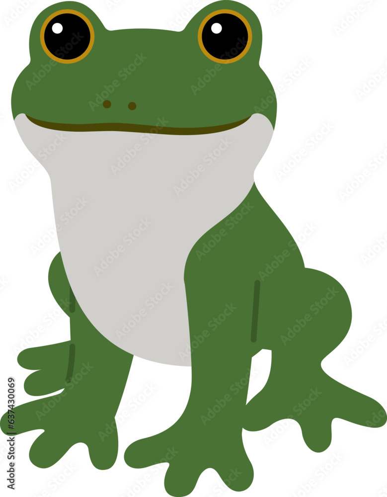 Fototapeta premium カエル かえる 蛙 frog