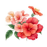 Watercolor set of pink and red hibiscus flowers on transparent background