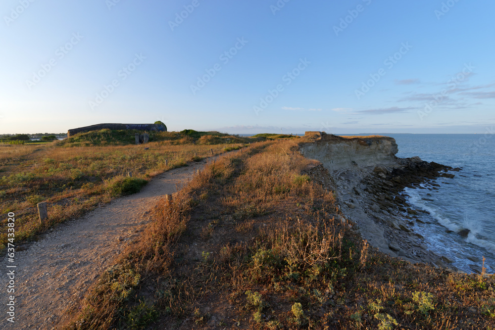 Obraz premium Coastal path of the Pointe du Chay cliffs in Charente-Maritime coast
