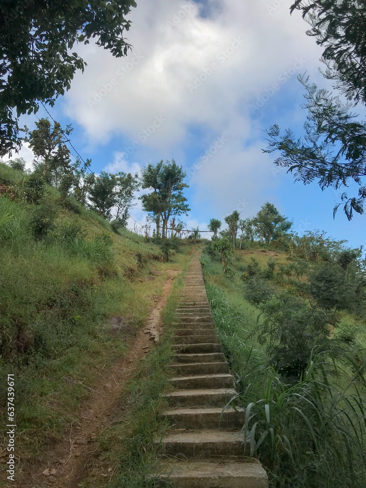 The beautiful landscape of the stairs in forest on the hill in Banyuwangi, East Java, Indonesia. Some clouds in the blue sky. isolated blue sky. Good structure for using background needed