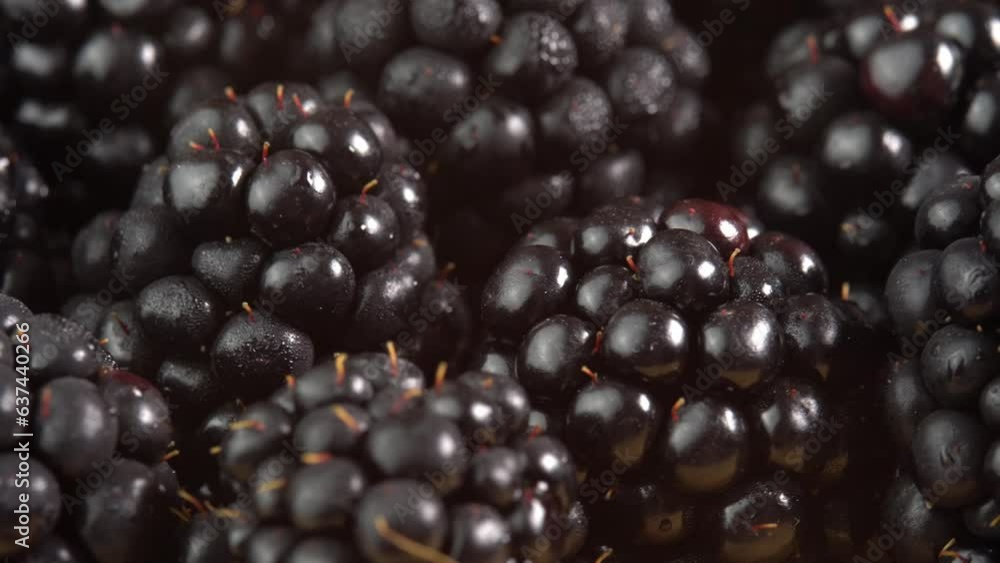Juicy blackberries with water drops rotating in macro. Blackberrie for marketing videos or promotions for restaurants, cafes and food video Juicy blackberries with water drops rotating in macro. Blackberrie for marketing videos or promotions for restaurants, cafes and food video