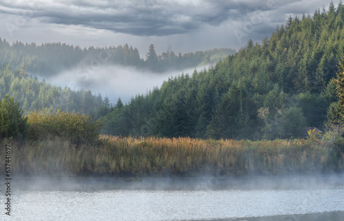 Fog on a creek and in a forest with a dramatic cloudy sky.