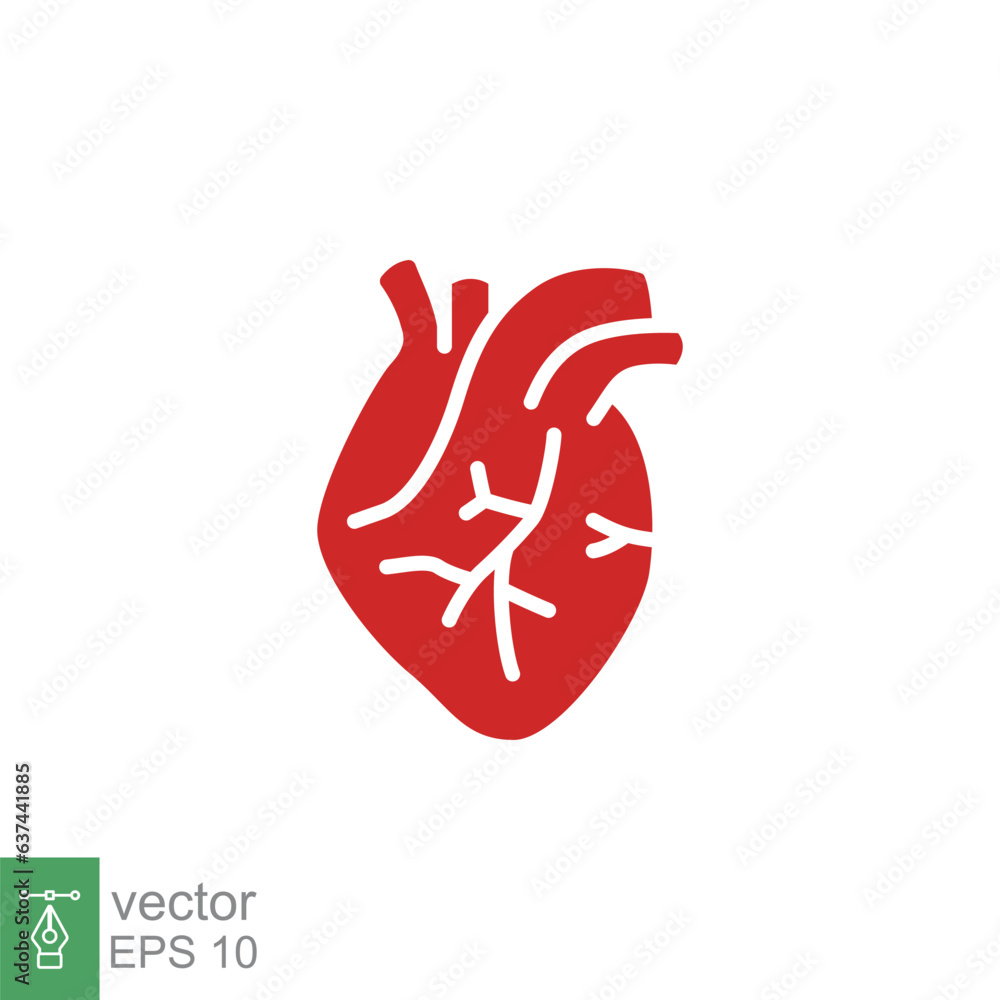 Red human heart icon. Simple solid, flat style. Internal organ, real, cardiology, cardiac anatomy, medical concept. Silhouette, glyph symbol. Vector illustration isolated on white background. EPS 10. Red human heart icon. Simple solid, flat style. Internal organ, real, cardiology, cardiac anatomy, medical concept. Silhouette, glyph symbol. Vector illustration isolated on white background. EPS 10.