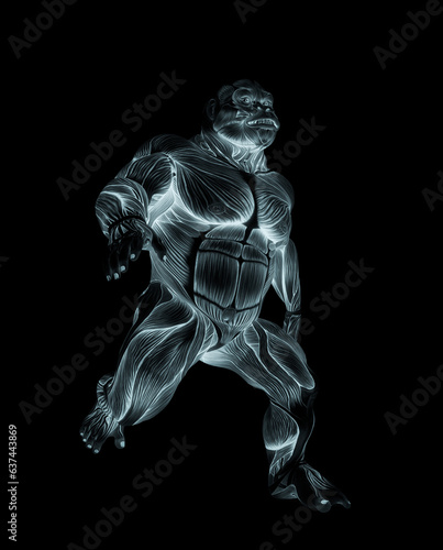 gorilla is running on muscle map anatomy style © DM7