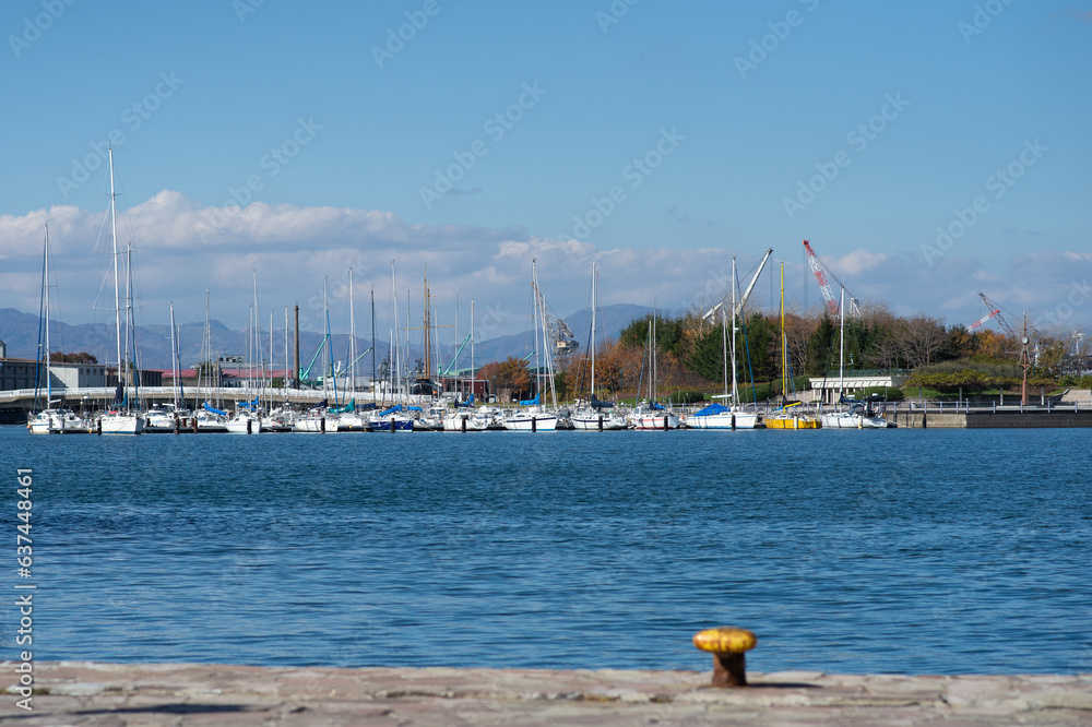 Obraz premium boats in harbor