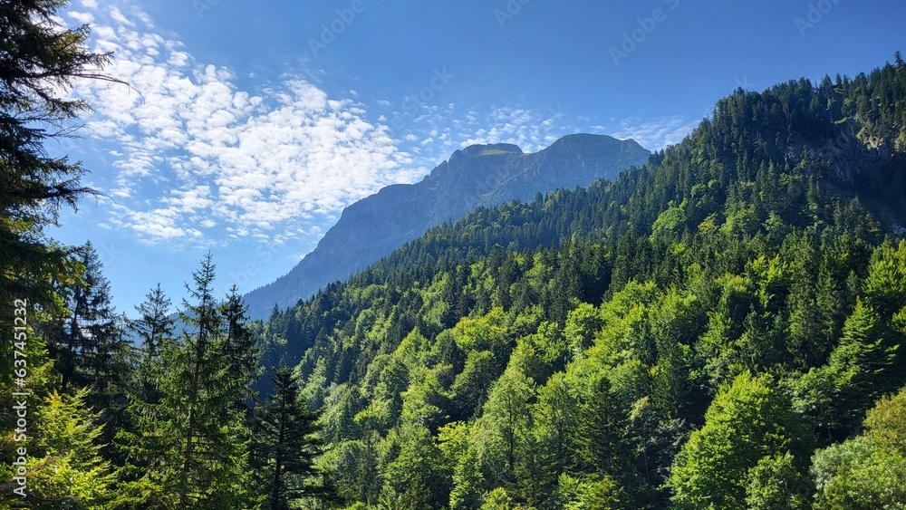 Green mountains in the mountains