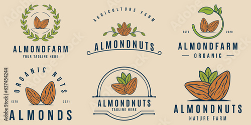 set almond nut vintage logo agriculture vector illustration design