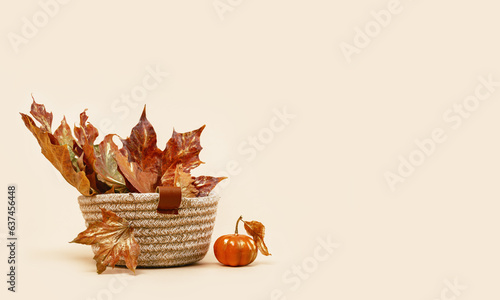 Fall Gift or Sale concept. golden maple leaves in a woven basket pumpkins and gift box. autumn decor. Copy space. Thanksgiving. order delivery banner. Warm subtle mood colors