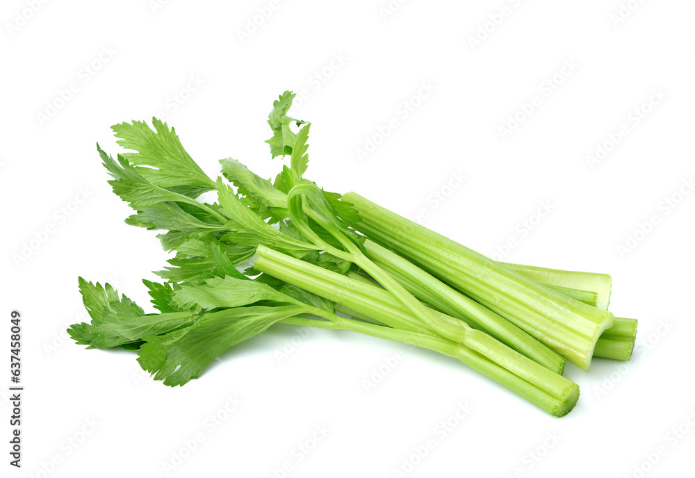 Fresh celery isolated on white background Fresh celery isolated on white background