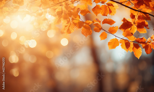  autumn leaf on bokeh background © Kepler