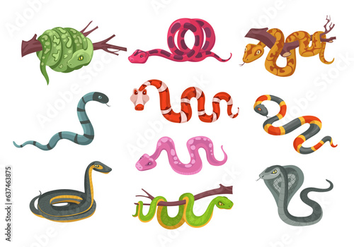 Cartoon reptiles. Different types color snakes. Poisonous and suffocating animals. Scaly creature with venom. Terrarium serpent. Predator on branch. Cobra and python. Splendid vector set