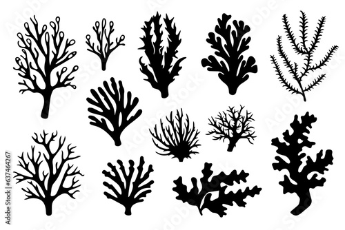 Hand drawn set of corals and seaweed silhouette isolated on white background. Vector icons and stamp illustration.