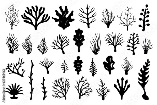 Hand drawn set of corals and seaweed silhouette isolated on white background. Vector icons and stamp illustration.