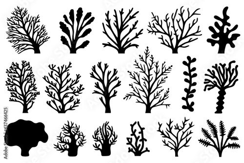 Hand drawn set of corals and seaweed silhouette isolated on white background. Vector icons and stamp illustration.