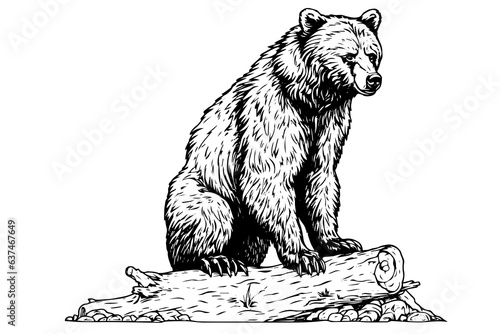 Ink hand drawing sketch bear bear sitting on a log. Vector Illustration in engraving style.