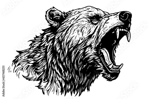 Ink hand drawing sketch bear mascot or logotype head. Vector Illustration in engraving style.
