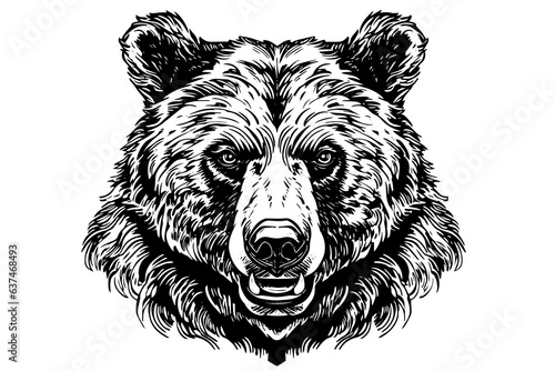 Ink hand drawing sketch bear mascot or logotype head. Vector Illustration in engraving style.