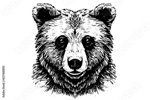 Ink hand drawing sketch bear mascot or logotype head. Vector Illustration in engraving style.