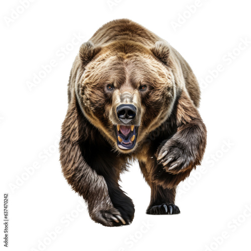 a full-body view of a  Grizzly bear, angry as a transparent PNG Nature-themed, photorealistic illustration. Generative ai © Purple Penguin GFX