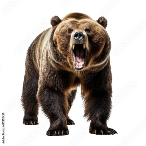 a full-body view of a  Grizzly bear, angry as a transparent PNG Nature-themed, photorealistic illustration. Generative ai