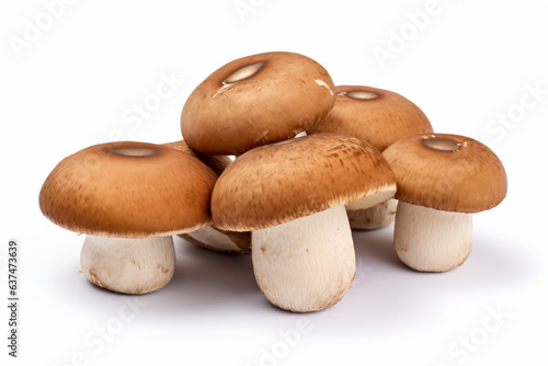a group of mushrooms sitting on top of each other